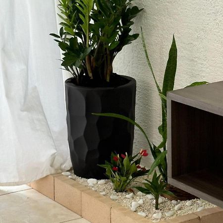 Casa Praia Alegre بنها المظهر الخارجي الصورة